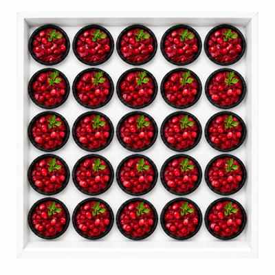 tartlet with beetroot 25 pcs